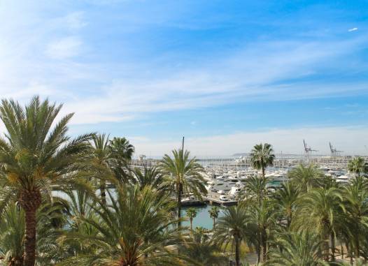 Апартаменты - Перепродажа - Alicante - - Centro  -