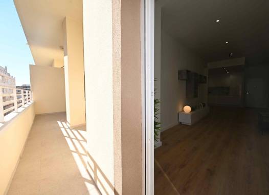 Appartement - Nieuwbouw  - Torrevieja - N8571