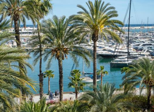 Appartement - Revente - Alicante - CWG900