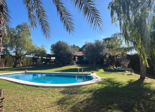 Finca - Resale - Dolores - Comunidad Valenciana