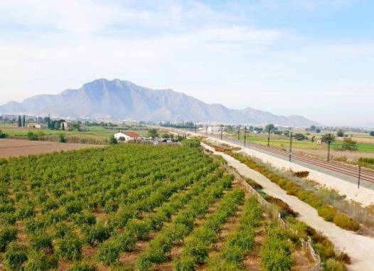 Finca - Venta - Callosa de Segura - Inland