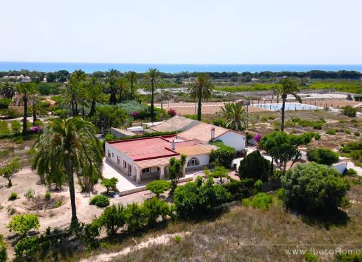 Finca - Venta - La Marina - Costa Blanca