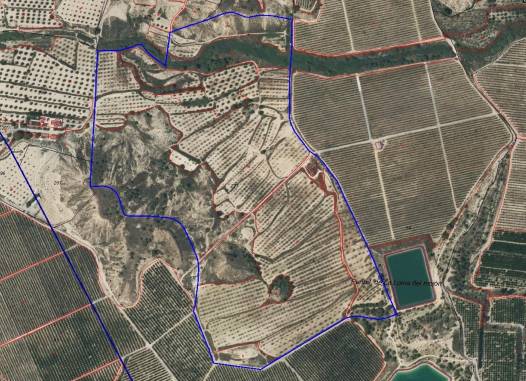 Finca - Venta - Torremendo - Torremendo