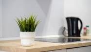 Herverkoop  - Appartement - Alicante - - Centro  -