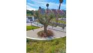 Herverkoop  - Appartement - Villamartin - Costa Blanca