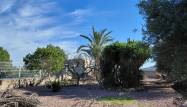 Herverkoop  - Country House - Orihuela - Inland