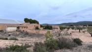 Herverkoop  - Country House - Villena - Inland