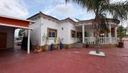 Herverkoop  - Finca - Catral - Comunidad Valenciana