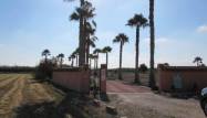 Herverkoop  - Finca - Dolores - Comunidad Valenciana