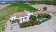Herverkoop  - Finca - Orihuela - Desamparados-hurchillo-torremendo