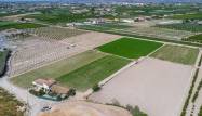 Herverkoop  - Finca - Orihuela - Desamparados-hurchillo-torremendo