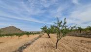 Herverkoop  - Land - Algueña - Inland