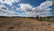 Herverkoop  - Land - Pinoso - Inland