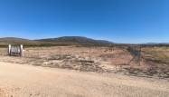 Herverkoop  - Land - Pinoso - Inland
