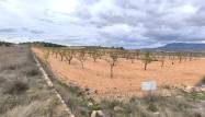 Herverkoop  - Land - Pinoso - Inland