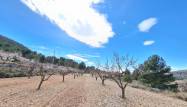 Herverkoop  - Land - Pinoso - Inland