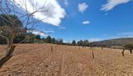 Herverkoop  - Land - Pinoso - Inland