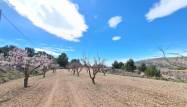 Herverkoop  - Land - Pinoso - Inland