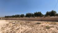 Herverkoop  - Villa - Pinoso - Inland