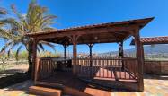 Herverkoop  - Villa - Pinoso - Inland