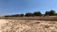 Herverkoop  - Villa - Pinoso - Inland