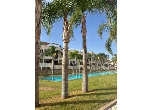Lägenhet - Resale - Torrevieja - Los Balcones