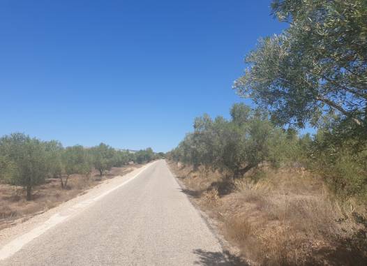 Land - Herverkoop  - Biar - Inland