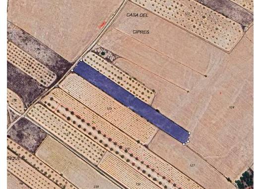 Land - Herverkoop  - Casas Del Señor - Inland