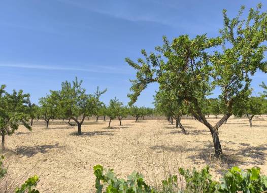 Land - Herverkoop  - Monóvar/Monóver - Inland