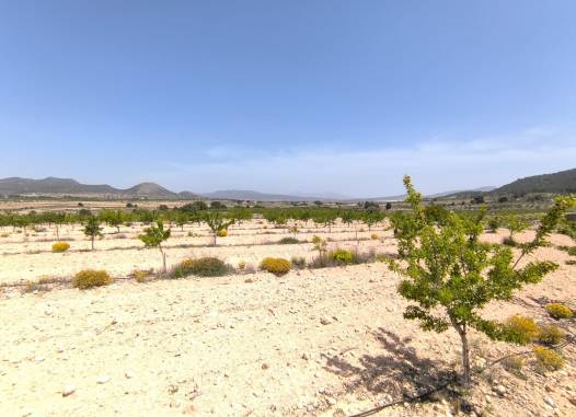 Land - Herverkoop  - Monóvar/Monóver - Inland