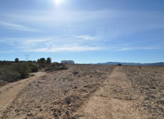 Land - Herverkoop  - Monóvar/Monóver - Inland