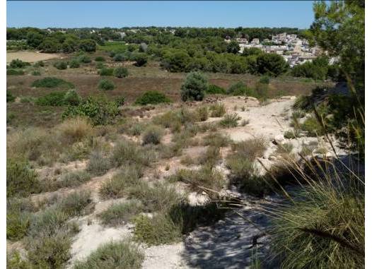 Land - Herverkoop  - Pinar de Campoverde - Inland