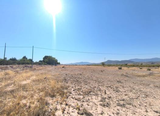 Land - Herverkoop  - Pinoso - Inland