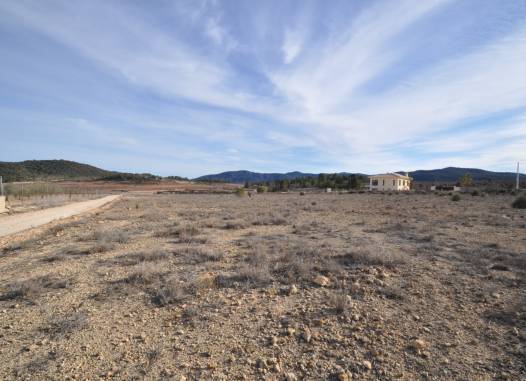 Land - Herverkoop  - Pinoso - Inland