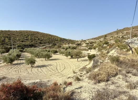 Land - Herverkoop  - Relleu - Costa Blanca