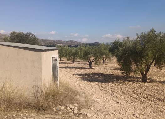 Land - Herverkoop  - Salinas - Inland