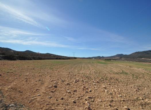 Land - Herverkoop  - Salinas - Inland