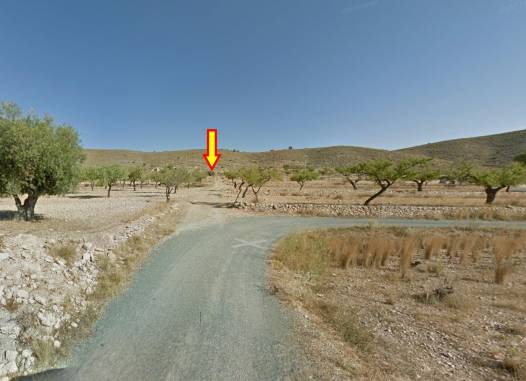 Land - Odsprzedaż - Hondón de las Nieves - Rebalso