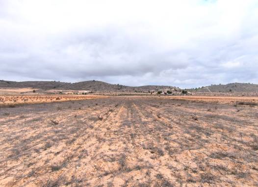 Land - Odsprzedaż - La Solana - La Solana