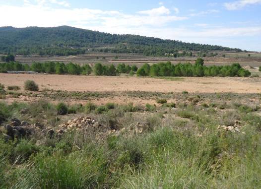 Land - Odsprzedaż - Monóvar/Monóver - Inland