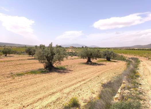 Land - Odsprzedaż - Pinoso - Inland