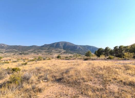 Land - Перепродажа - Algueña - Inland