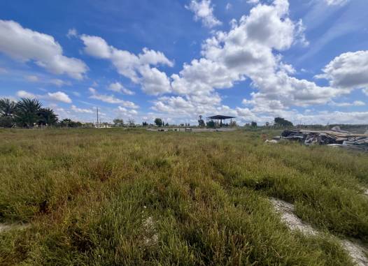 Land - Перепродажа - Catral - Costa Blanca