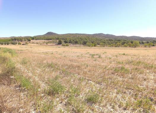 Land - Перепродажа - Monóvar/Monóver - Inland