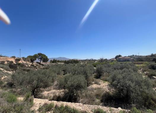 Land - Перепродажа - Monóvar/Monóver - Inland