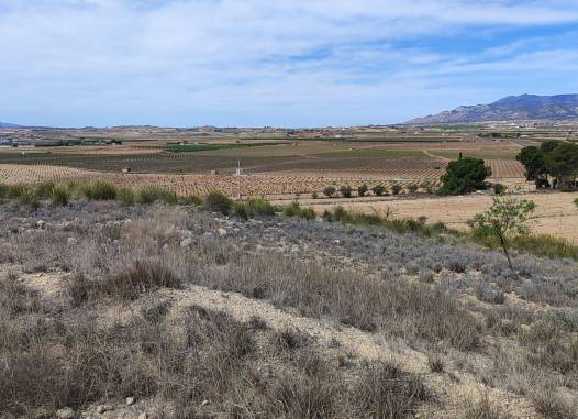 Land - Перепродажа - Pinoso - Inland