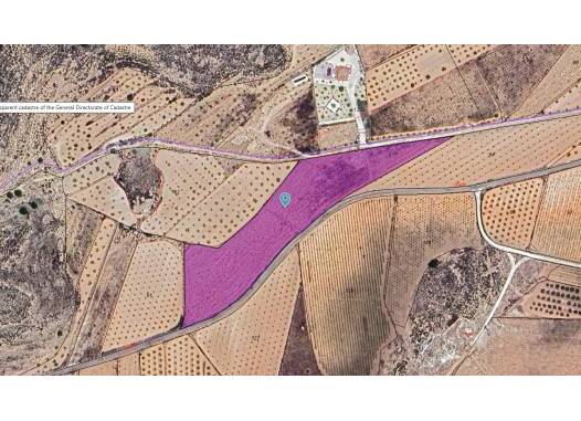 Land - Перепродажа - Pinoso - Inland