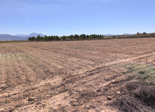 Land - Перепродажа - Pinoso - Inland