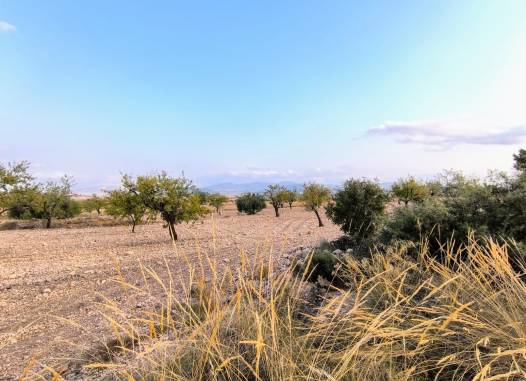Land - Перепродажа - Pinoso - Inland
