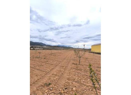 Land - Перепродажа - Pinoso - Inland